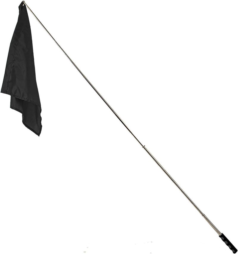 Telescope Training Flag